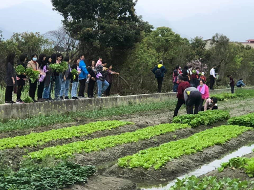 圖11-2-2-2/迦南農場開放員工-健走採菜趣.jpg