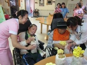 圖6-4-1-3觸碰體驗親自採收.jpg